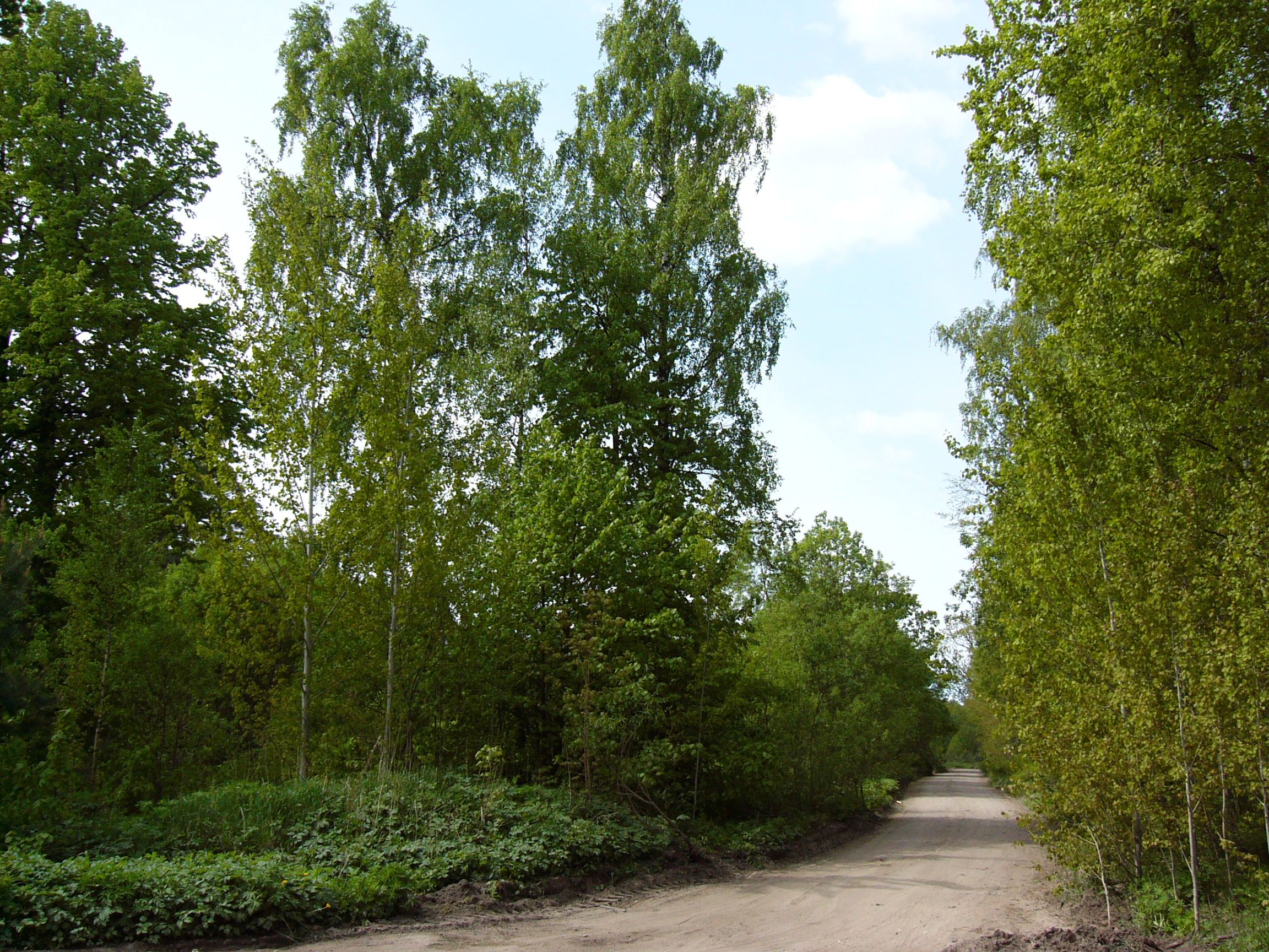 Memeltour 2008 161 Memeltour 2008 161